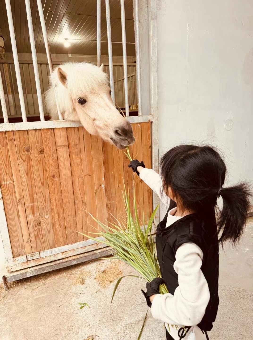 一個穿著黑色背心和手套的孩子正在透過木馬欄的欄桿餵一匹白色小馬。