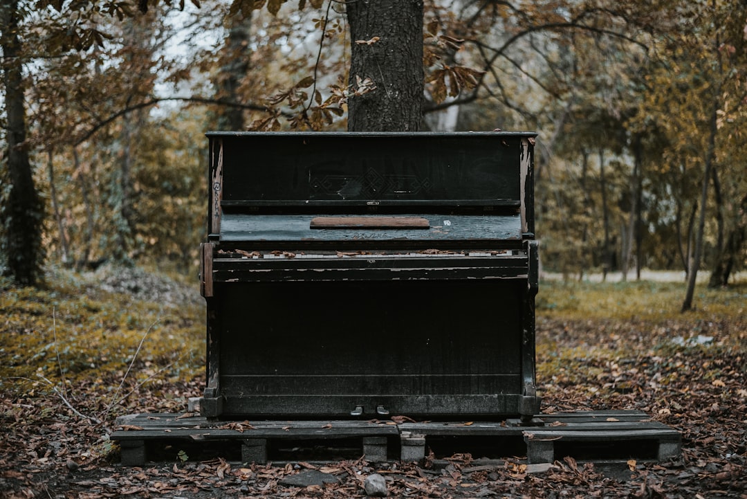 Photo Piano keys