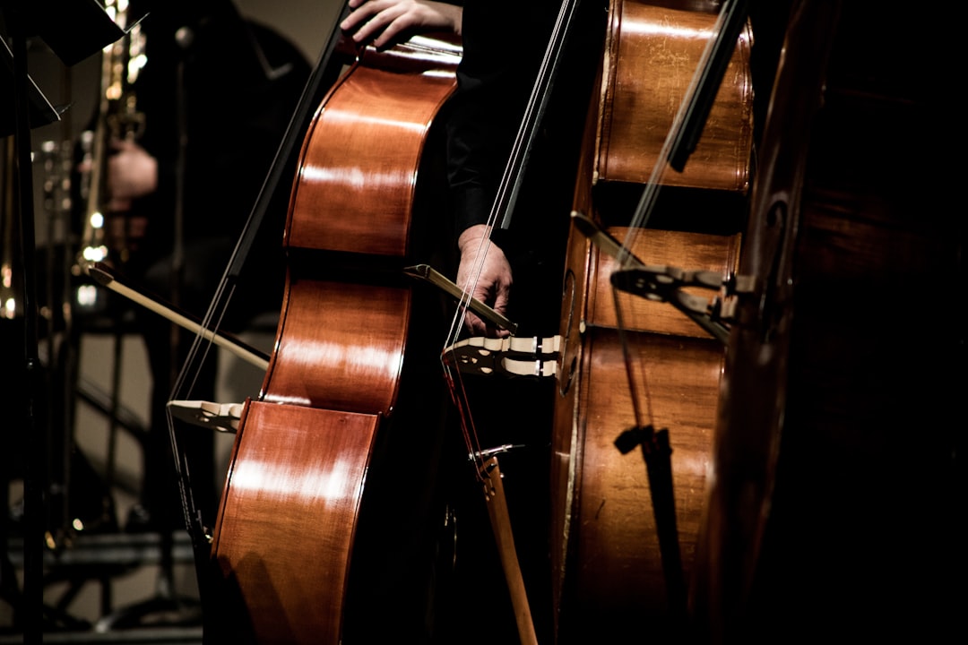 Photo Violin performance