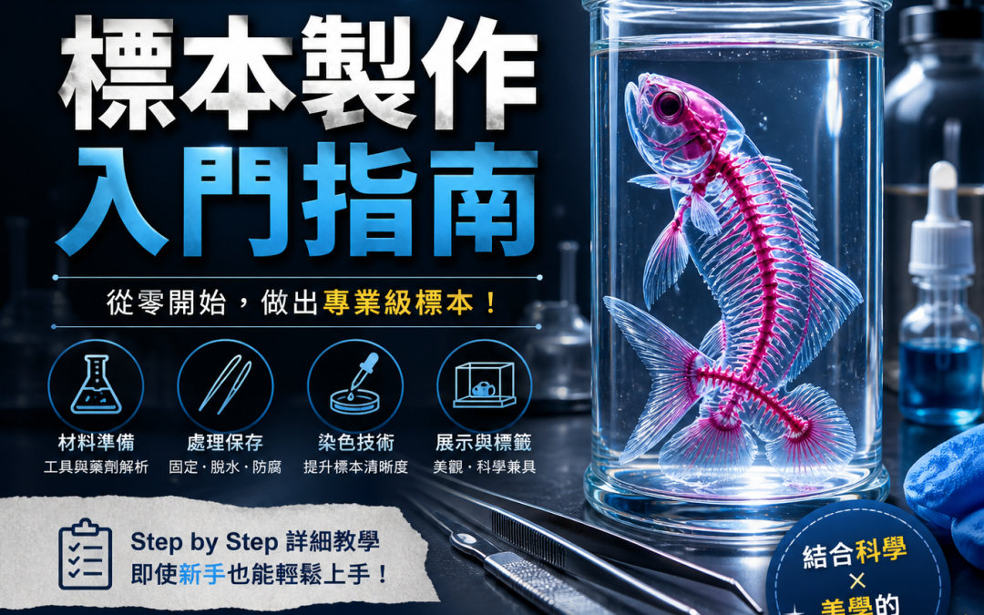 標本製作入門指南：新手完整流程教學
