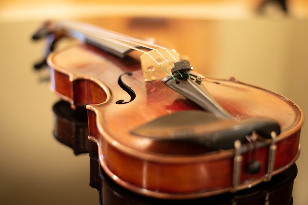 Photo violin lessons